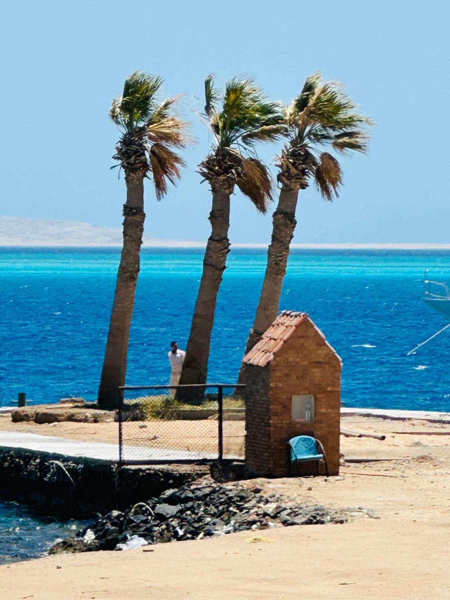 Lotus Elegant Pool View Apartment Hurghada